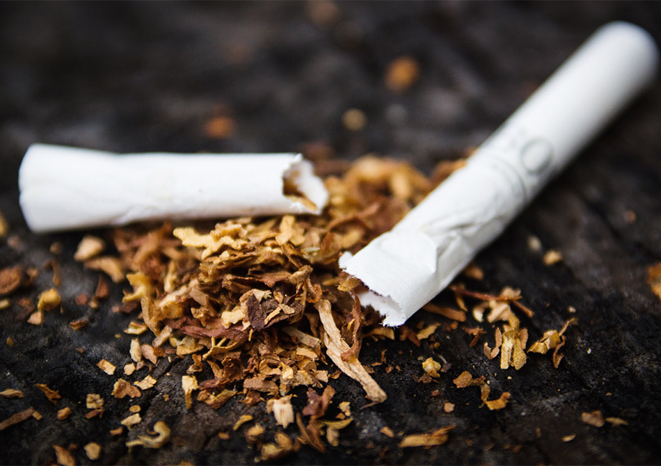 New grounds for revoking TP licenses