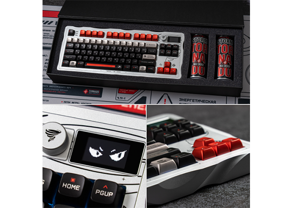 Unique keyboard by TORNADO and Dark Project